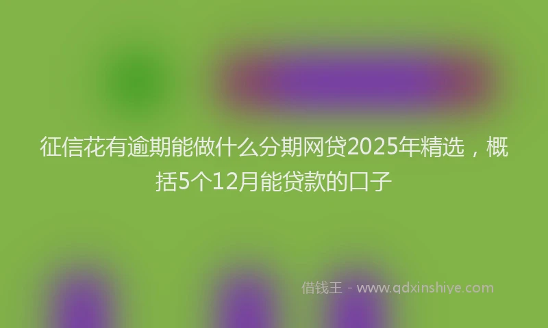 征信花有逾期能做什么分期网贷2025年精选，概括5个12月能贷款的口子