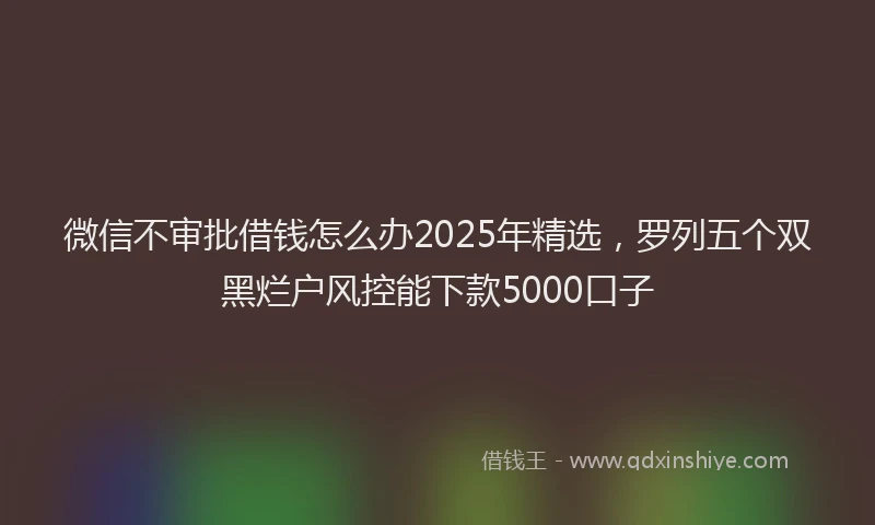 微信不审批借钱怎么办2025年精选，罗列五个双黑烂户风控能下款5000口子