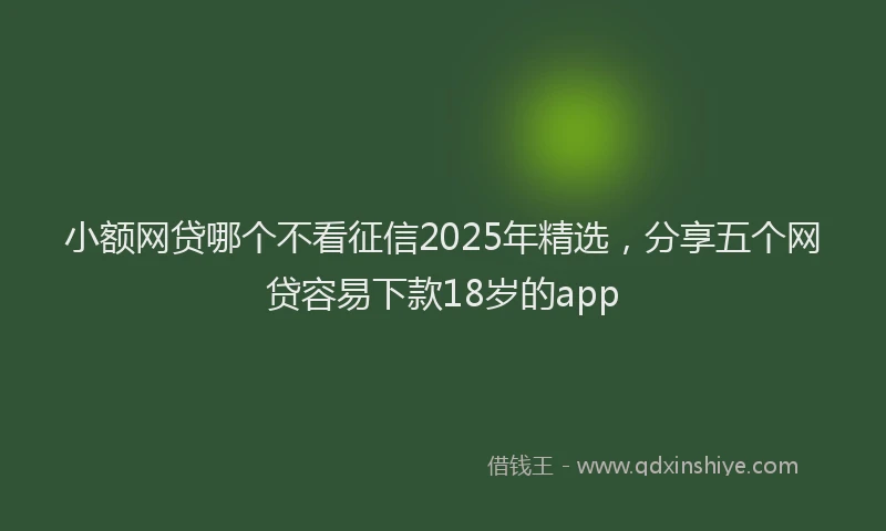 小额网贷哪个不看征信2025年精选，分享五个网贷容易下款18岁的app