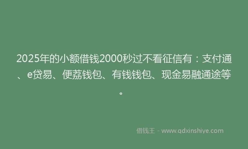 2025年的小额借钱2000秒过不看征信有：支付通、e贷易、便荔钱包、有钱钱包、现金易融通途等。