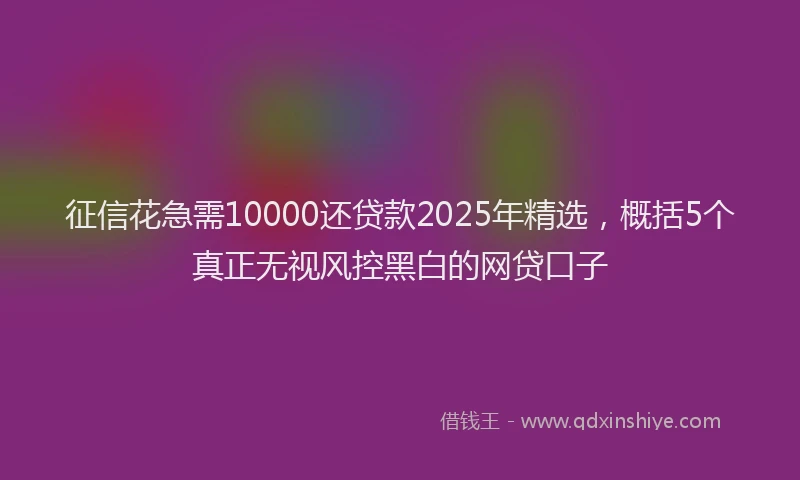 征信花急需10000还贷款2025年精选，概括5个真正无视风控黑白的网贷口子