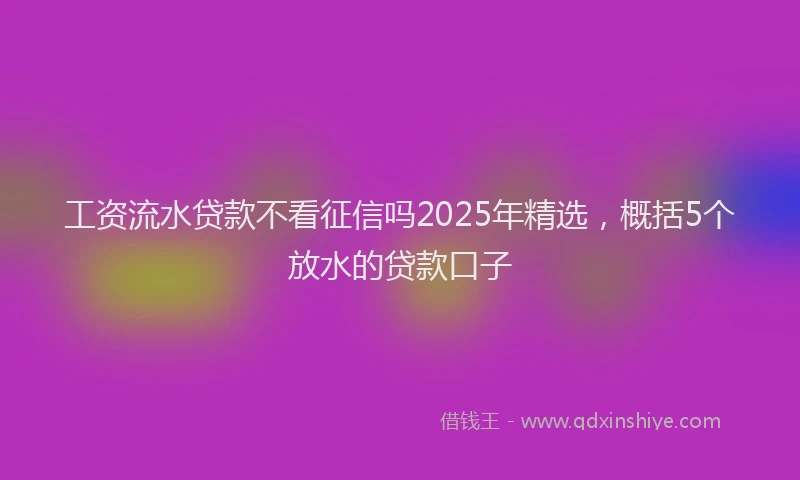 工资流水贷款不看征信吗2025年精选，概括5个放水的贷款口子