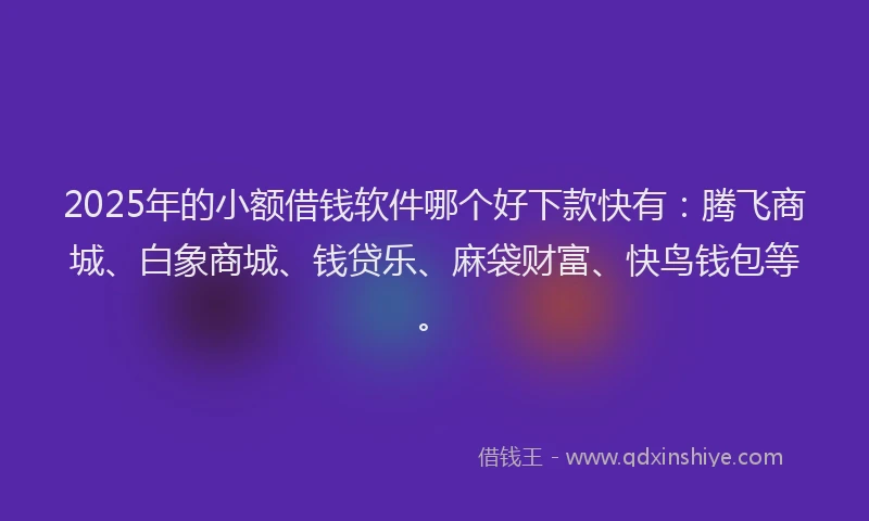 2025年的小额借钱软件哪个好下款快有：腾飞商城、白象商城、钱贷乐、麻袋财富、快鸟钱包等。