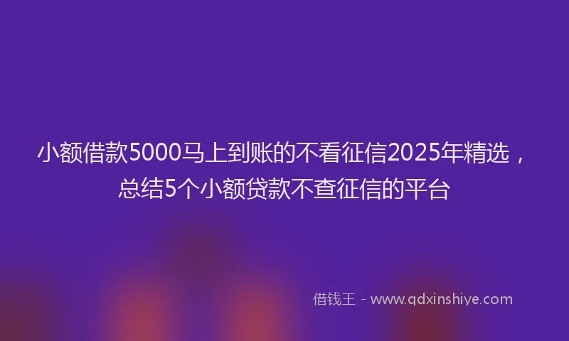 小额借款5000马上到账的不看征信2025年精选，总结5个小额贷款不查征信的平台