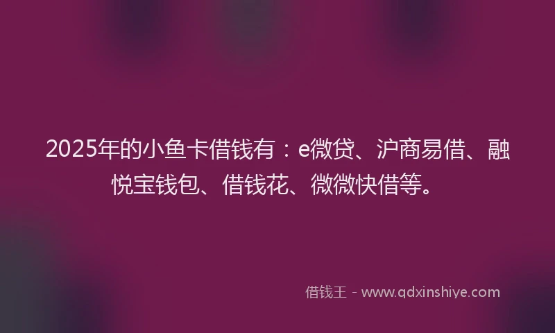 2025年的小鱼卡借钱有：e微贷、沪商易借、融悦宝钱包、借钱花、微微快借等。