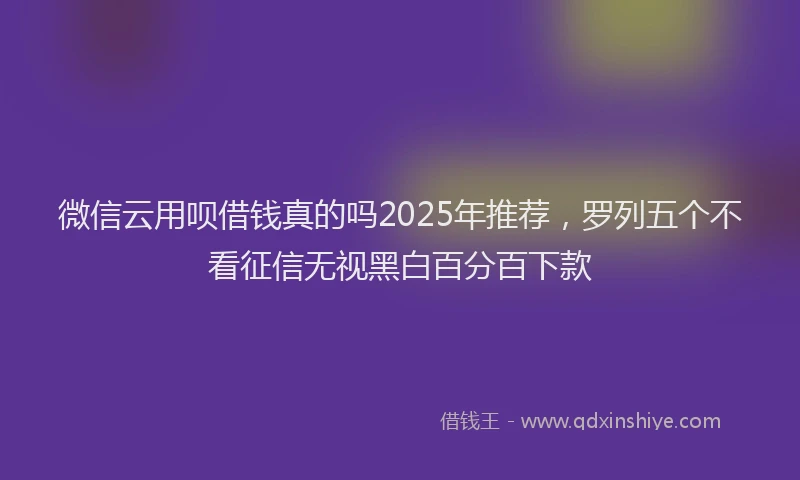 微信云用呗借钱真的吗2025年推荐，罗列五个不看征信无视黑白百分百下款