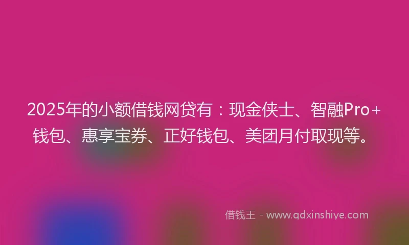 2025年的小额借钱网贷有：现金侠士、智融Pro+钱包、惠享宝券、正好钱包、美团月付取现等。