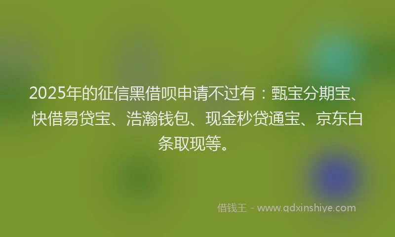 2025年的征信黑借呗申请不过有：甄宝分期宝、快借易贷宝、浩瀚钱包、现金秒贷通宝、京东白条取现等。