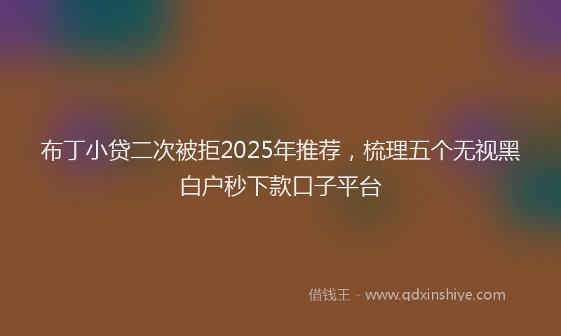 布丁小贷二次被拒2025年推荐，梳理五个无视黑白户秒下款口子平台