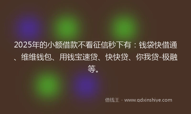 2025年的小额借款不看征信秒下有：钱袋快借通、维维钱包、用钱宝速贷、快快贷、你我贷-极融等。