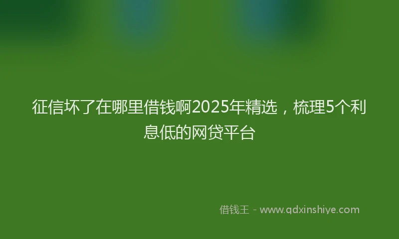 征信坏了在哪里借钱啊2025年精选，梳理5个利息低的网贷平台