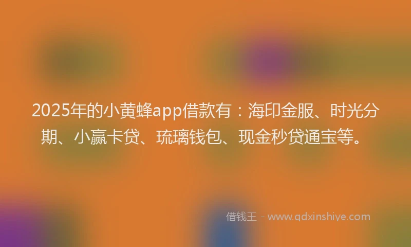 2025年的小黄蜂app借款有：海印金服、时光分期、小赢卡贷、琉璃钱包、现金秒贷通宝等。