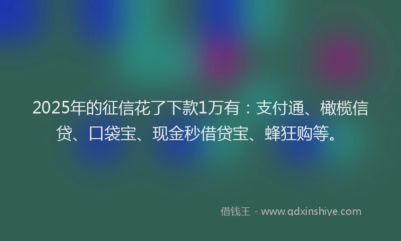 2025年的征信花了下款1万有：支付通、橄榄信贷、口袋宝、现金秒借贷宝、蜂狂购等。