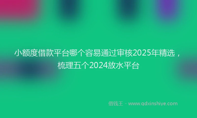 小额度借款平台哪个容易通过审核2025年精选，梳理五个2024放水平台