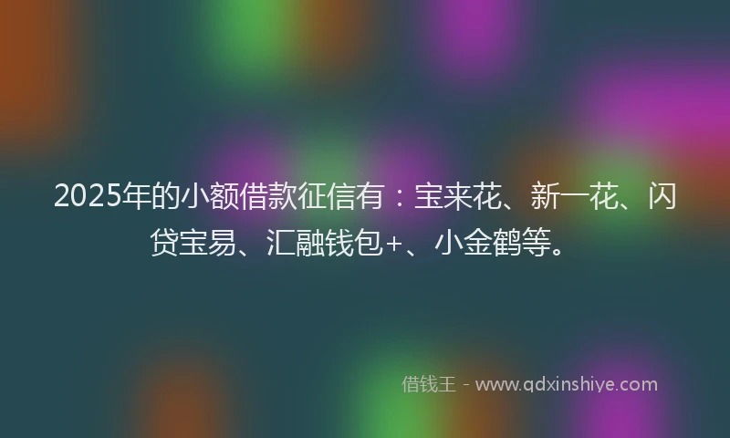 2025年的小额借款征信有：宝来花、新一花、闪贷宝易、汇融钱包+、小金鹤等。