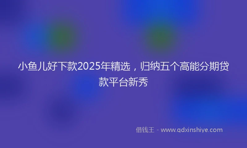 小鱼儿好下款2025年精选，归纳五个高能分期贷款平台新秀