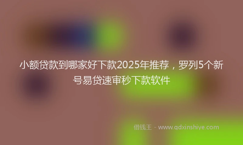 小额贷款到哪家好下款2025年推荐，罗列5个新号易贷速审秒下款软件