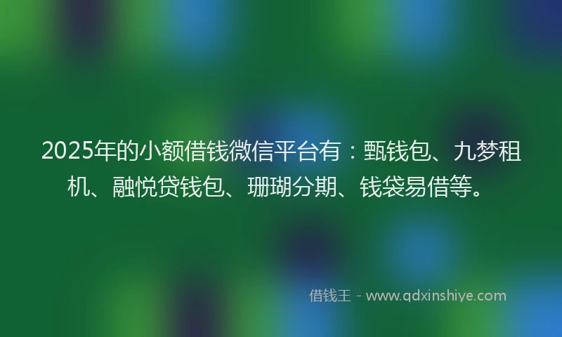 2025年的小额借钱微信平台有：甄钱包、九梦租机、融悦贷钱包、珊瑚分期、钱袋易借等。