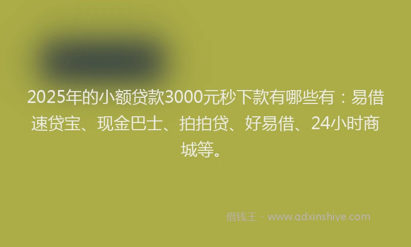 2025年的小额贷款3000元秒下款有哪些有：易借速贷宝、现金巴士、拍拍贷、好易借、24小时商城等。