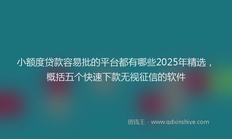 小额度贷款容易批的平台都有哪些2025年精选，概括五个快速下款无视征信的软件