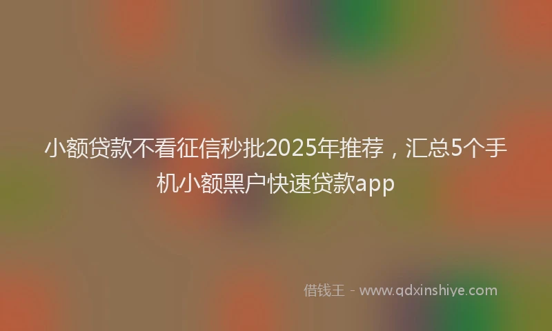 小额贷款不看征信秒批2025年推荐，汇总5个手机小额黑户快速贷款app