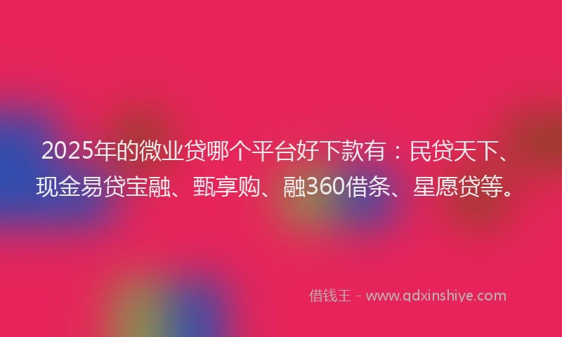 2025年的微业贷哪个平台好下款有：民贷天下、现金易贷宝融、甄享购、融360借条、星愿贷等。