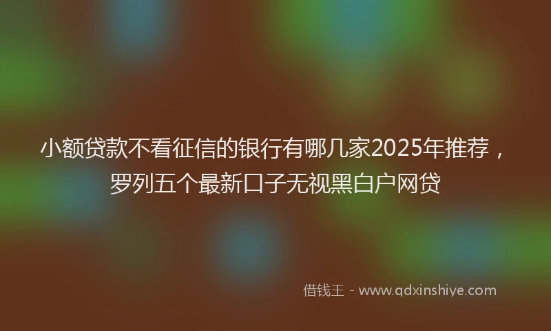 小额贷款不看征信的银行有哪几家2025年推荐，罗列五个最新口子无视黑白户网贷
