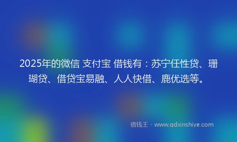 2025年的微信 支付宝 借钱有：苏宁任性贷、珊瑚贷、借贷宝易融、人人快借、鹿优选等。