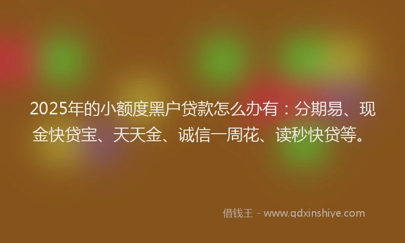 2025年的小额度黑户贷款怎么办有：分期易、现金快贷宝、天天金、诚信一周花、读秒快贷等。