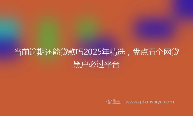 当前逾期还能贷款吗2025年精选，盘点五个网贷黑户必过平台