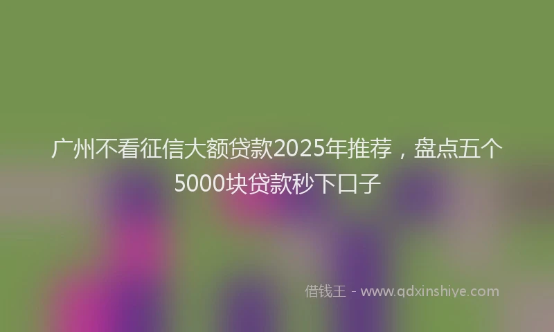 广州不看征信大额贷款2025年推荐，盘点五个5000块贷款秒下口子