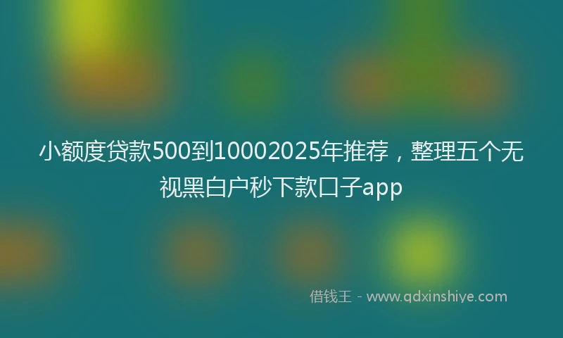 小额度贷款500到10002025年推荐，整理五个无视黑白户秒下款口子app