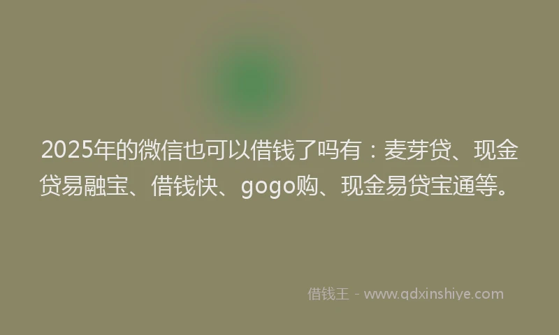 2025年的微信也可以借钱了吗有：麦芽贷、现金贷易融宝、借钱快、gogo购、现金易贷宝通等。