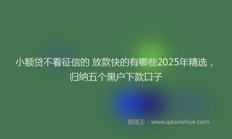 小额贷不看征信的 放款快的有哪些2025年精选，归纳五个黑户下款口子