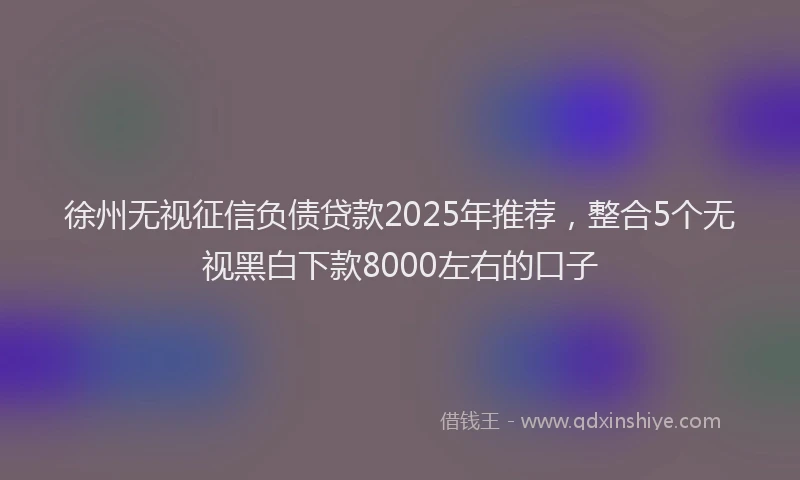 徐州无视征信负债贷款2025年推荐，整合5个无视黑白下款8000左右的口子