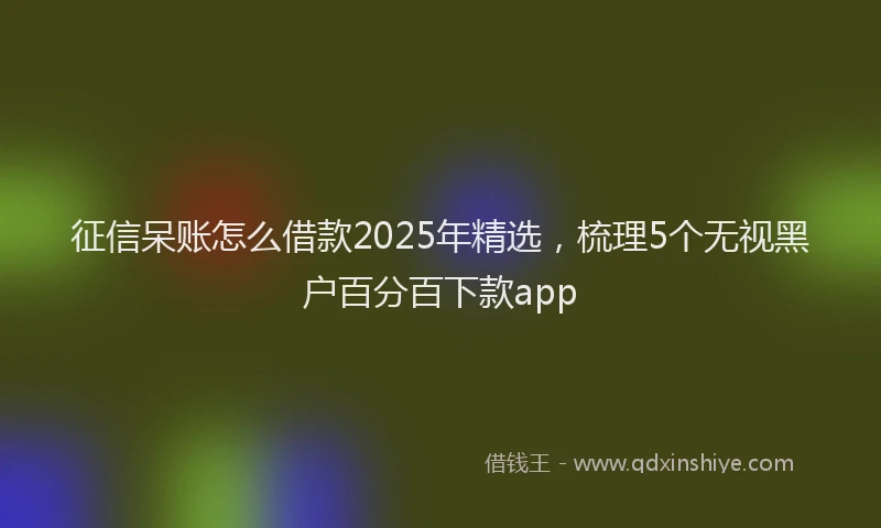 征信呆账怎么借款2025年精选，梳理5个无视黑户百分百下款app
