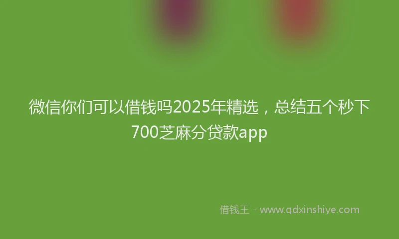 微信你们可以借钱吗2025年精选，总结五个秒下700芝麻分贷款app
