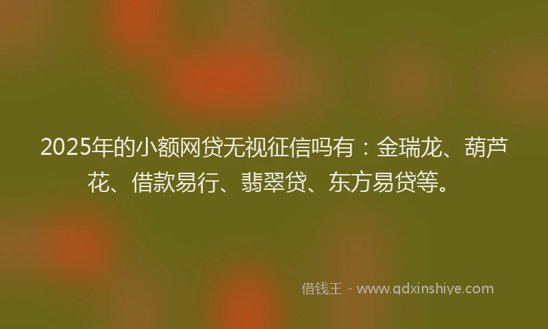 2025年的小额网贷无视征信吗有：金瑞龙、葫芦花、借款易行、翡翠贷、东方易贷等。
