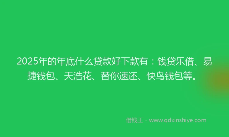 2025年的年底什么贷款好下款有：钱贷乐借、易捷钱包、天浩花、替你速还、快鸟钱包等。
