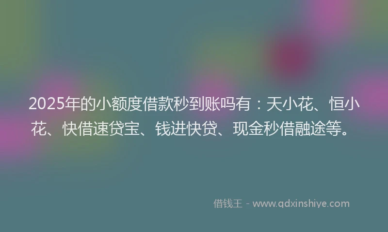 2025年的小额度借款秒到账吗有：天小花、恒小花、快借速贷宝、钱进快贷、现金秒借融途等。