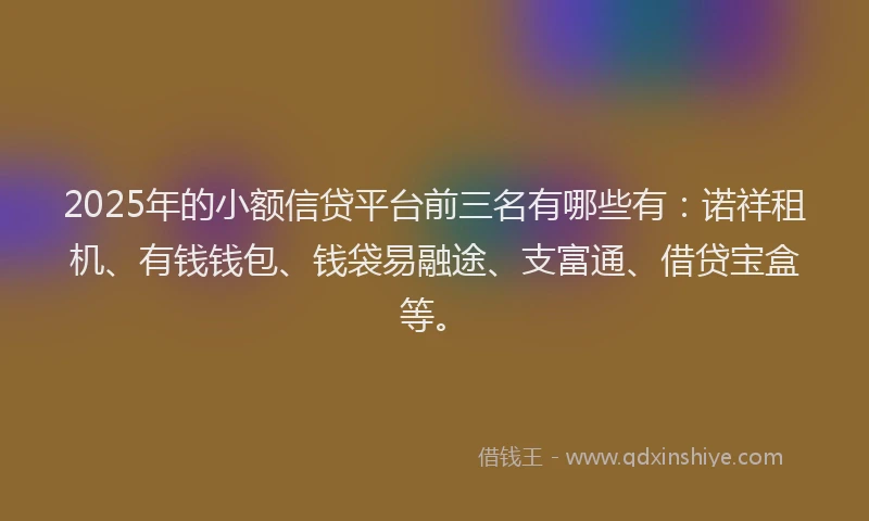 2025年的小额信贷平台前三名有哪些有：诺祥租机、有钱钱包、钱袋易融途、支富通、借贷宝盒等。