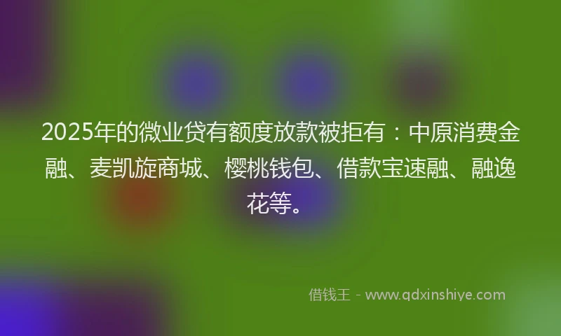 2025年的微业贷有额度放款被拒有：中原消费金融、麦凯旋商城、樱桃钱包、借款宝速融、融逸花等。