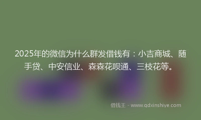 2025年的微信为什么群发借钱有：小吉商城、随手贷、中安信业、森森花呗通、三枝花等。