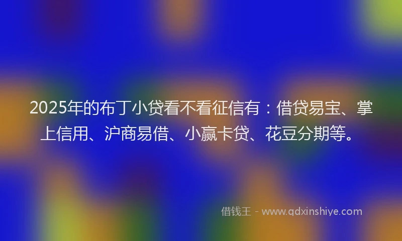 2025年的布丁小贷看不看征信有：借贷易宝、掌上信用、沪商易借、小赢卡贷、花豆分期等。