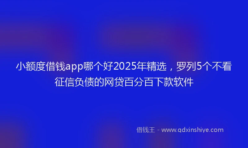 小额度借钱app哪个好2025年精选，罗列5个不看征信负债的网贷百分百下款软件