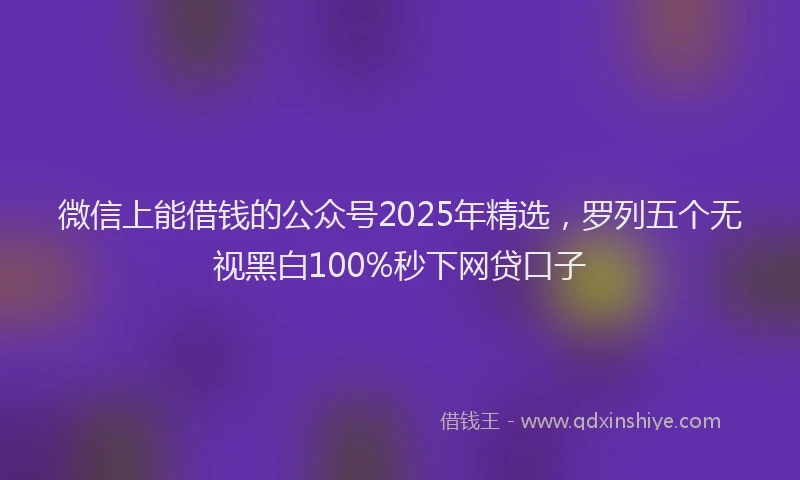 微信上能借钱的公众号2025年精选，罗列五个无视黑白100%秒下网贷口子