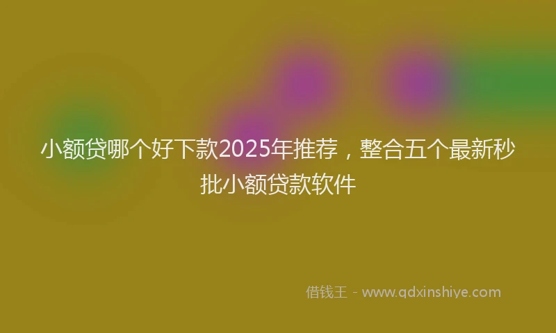 小额贷哪个好下款2025年推荐，整合五个最新秒批小额贷款软件