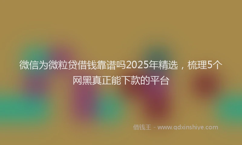 微信为微粒贷借钱靠谱吗2025年精选，梳理5个网黑真正能下款的平台