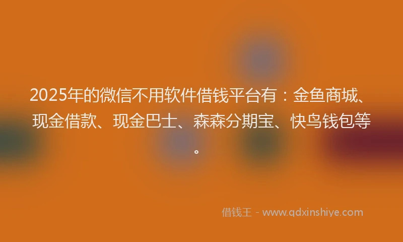 2025年的微信不用软件借钱平台有：金鱼商城、现金借款、现金巴士、森森分期宝、快鸟钱包等。
