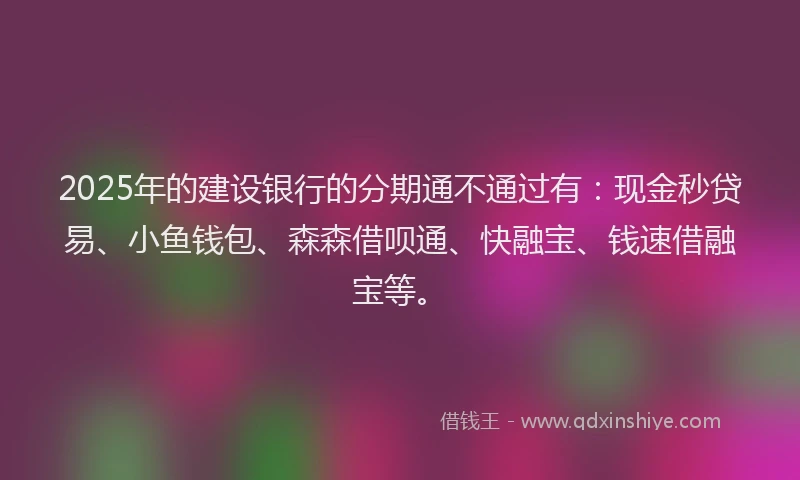 2025年的建设银行的分期通不通过有：现金秒贷易、小鱼钱包、森森借呗通、快融宝、钱速借融宝等。